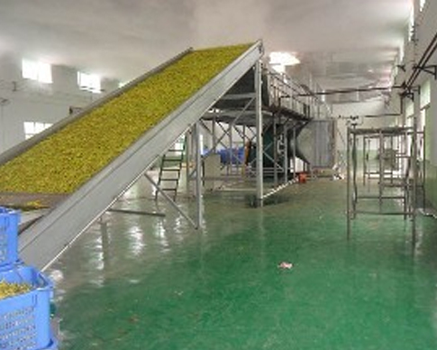 西安专业大型小猪视频APP下载汅电话